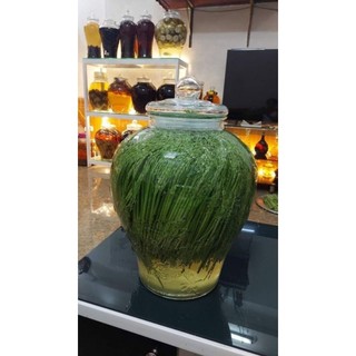 Đòng đòng nếp cái hoa vàng ( loại thơm nức mũi)