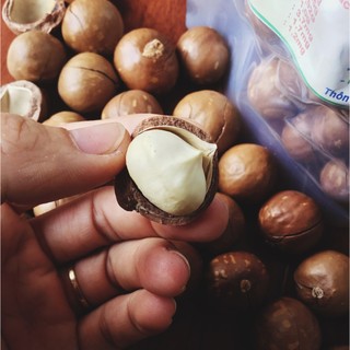 500g Macca mắc ca Lâm Hà Lâm Đồng size trung + đại