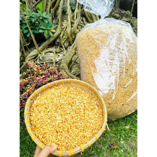  Siêu Rẻ   1KG  Cơm Cháy Chiên Rời Xốc Mắm Tỏi 🧄  🌶️  _ Đặc Sản Bồng Sơn- Bình Định 