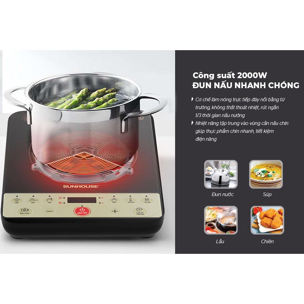 BẾP TỪ ĐƠN SUNHOUSE SHD6165