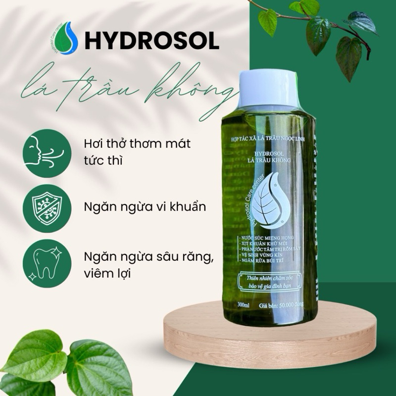 Hydrosol Lá Trầu Không