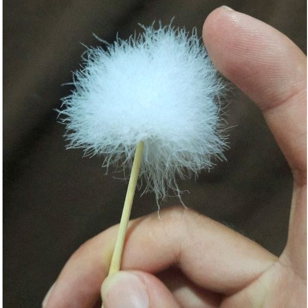 Combo 5 Cây lông vũ Siêu To