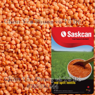 Đậu lăng đỏ (red lentils) - xuất xứ: Canada 🇨🇦