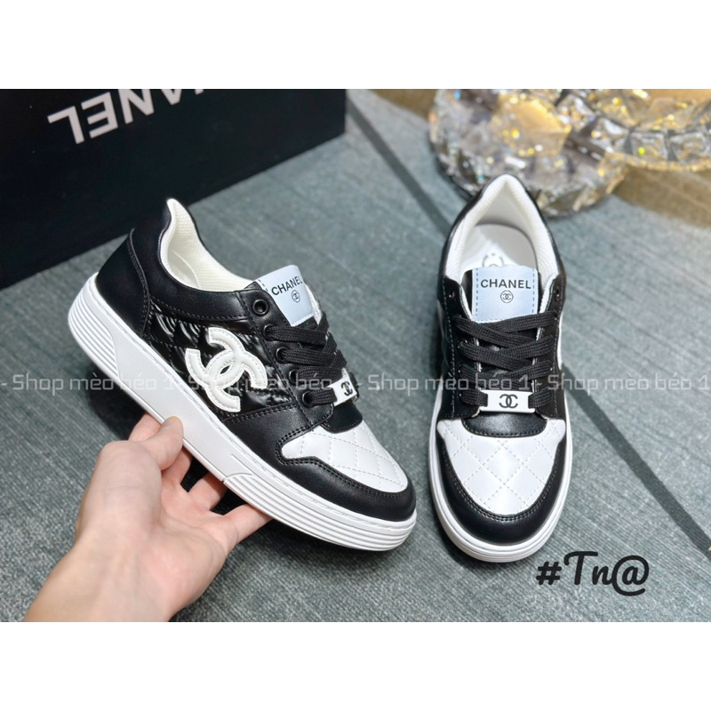 Giày thể thao cn trần chỉ viền pha logo hông fullbox