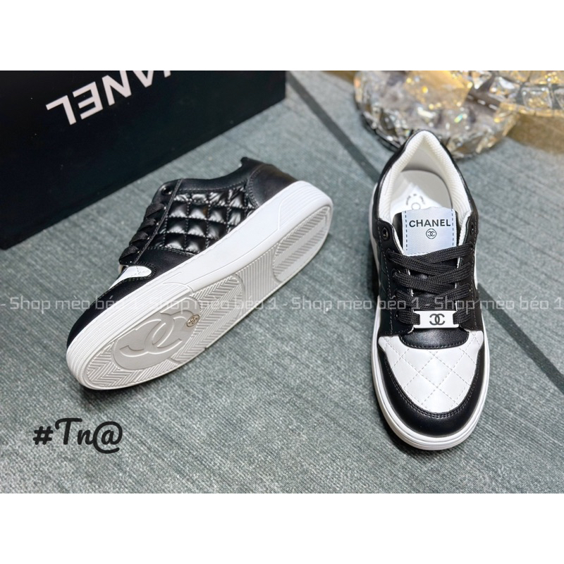 Giày thể thao cn trần chỉ viền pha logo hông fullbox