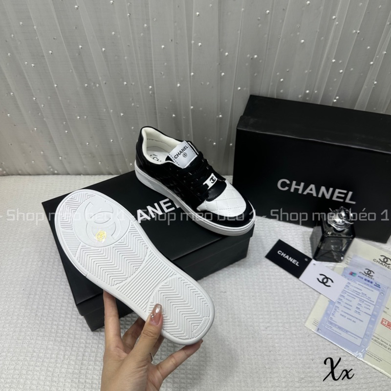 Giày thể thao cn trần chỉ viền pha logo hông fullbox