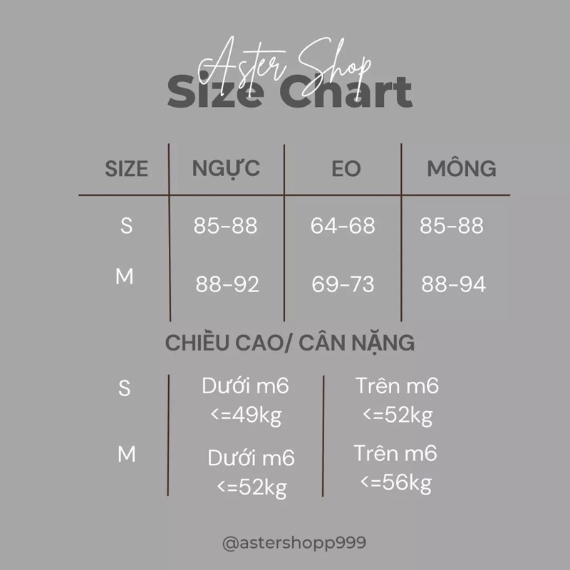 Set Áo Trễ Vai Đính Hoa Chân Váy Xếp Li TKCC BAGEO