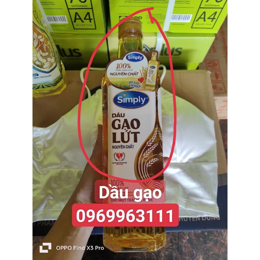 Áo Bra Satin Phi Bóng Bản To Có Đệm Ngực,