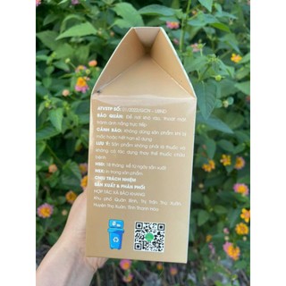 Trà túi lọc cây thông đất