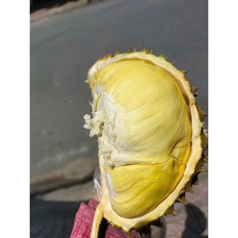 Sầu riêng Thái loại nhì 3 hộc ăn lên là màu Xanh or màu ghi là 75k/kg