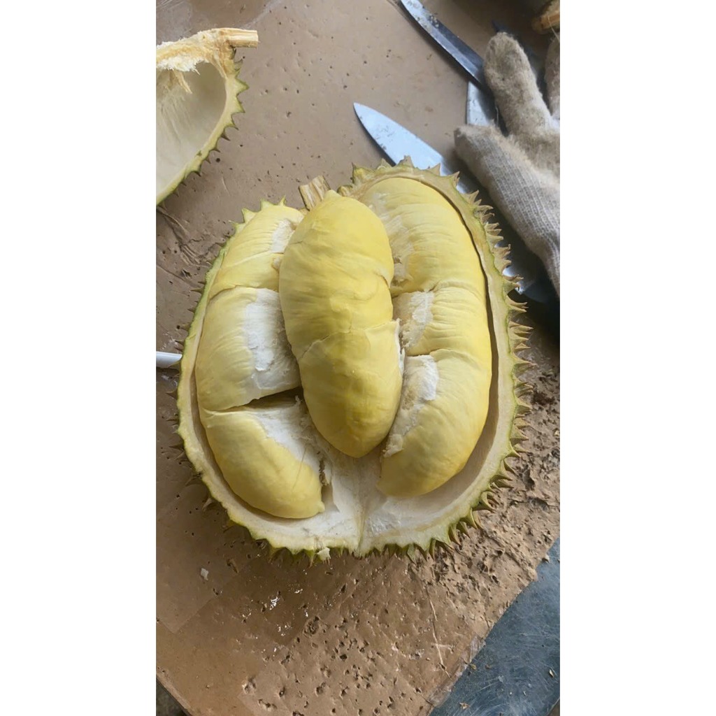 Sầu riêng Thái loại nhì 3 hộc ăn lên là màu Xanh or màu ghi là 75k/kg