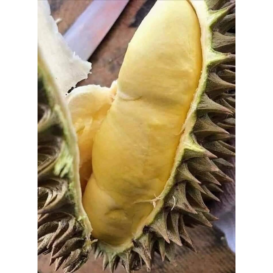 Sầu riêng Thái loại nhì 3 hộc ăn lên là màu Xanh or màu ghi là 75k/kg