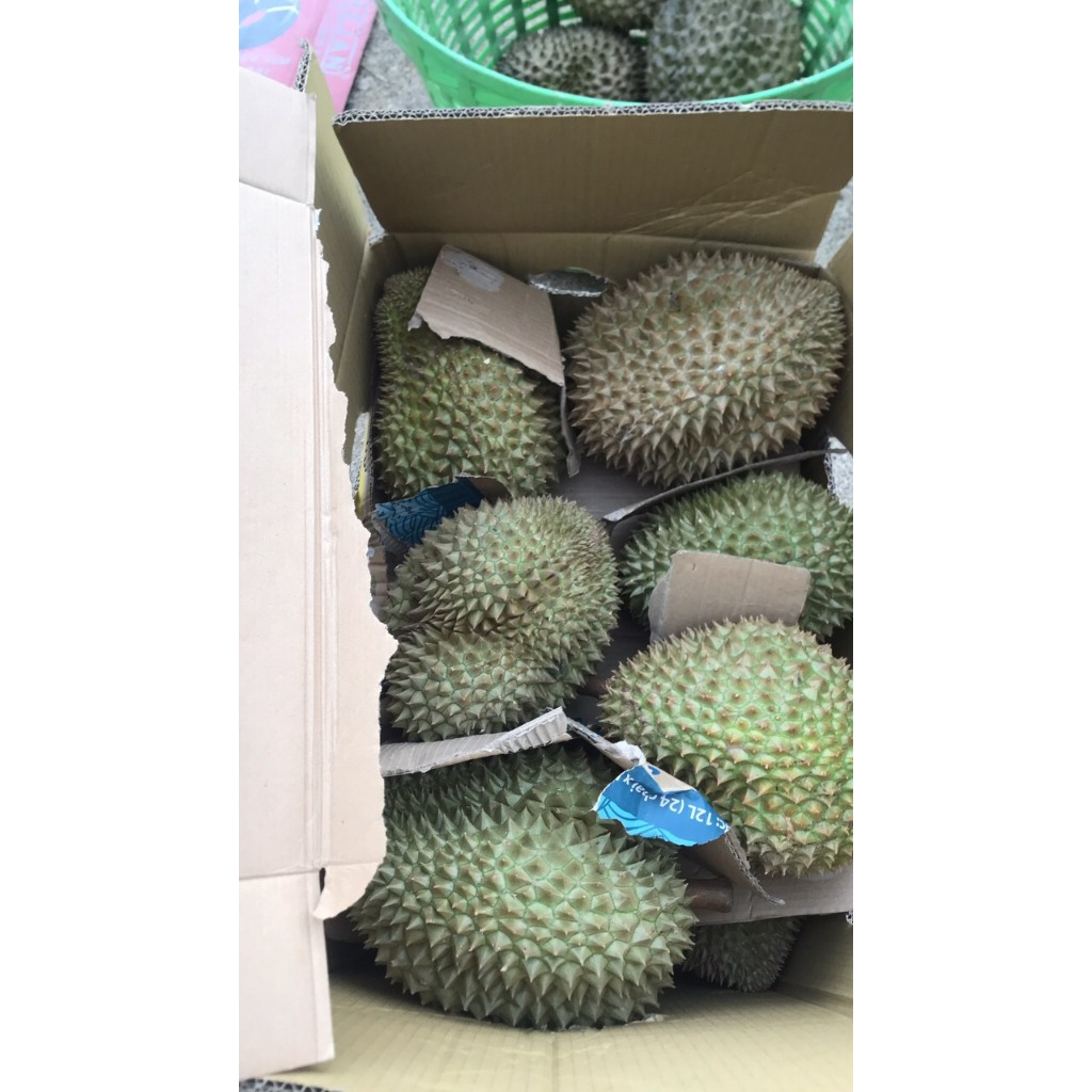 Sầu riêng Thái mini Lâm Đồng giá 103k/kg