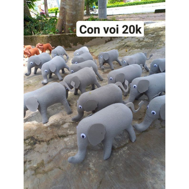con voi nỉ
