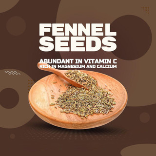 Hạt Tiểu Hồi Ông Chà Và 1kg (Fennel Seeds)