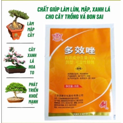 Chất làm lùn giúp tạo lùn, mập, lá xanh cho cây cảnh