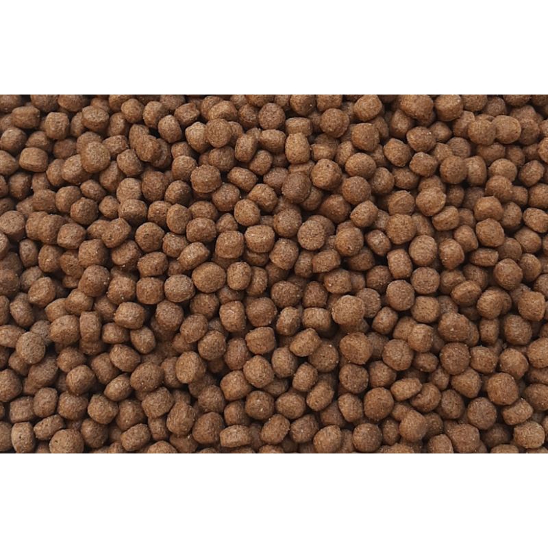 Cám câu Trắm đen, chép to hạt 9mm