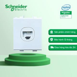 Ổ cắm điện thoại size M SCHNEIDER F50RJ4M_WE_G19