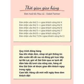 [SHIP SÀI GÒN ]COMBO RAU CỦ ĐÀ LẠT