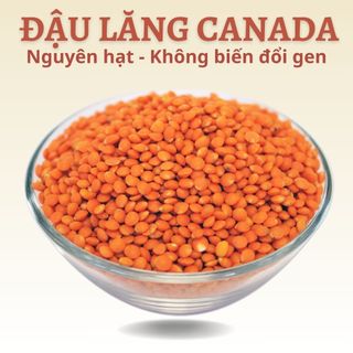 Đậu lăng đỏ hữu cơ nguyên hạt không biến đổi gen nhập khẩu Canada, hạt đậu lăng sạch nấu sữa hạt nấu ăn rất thơm