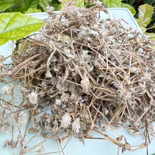[Hàng Công Ty] Cây nở ngày đất sấy khô (thơm, sạch)