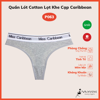 Quần Lót Vanvene, Quần Lọt Khe Cạp Nhỏ Dáng Thể Thao Phom To Châu Âu P063