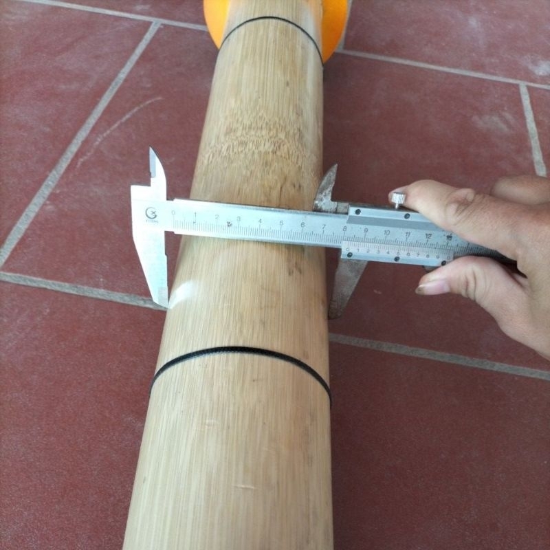 Sáo Diều Đơn D80