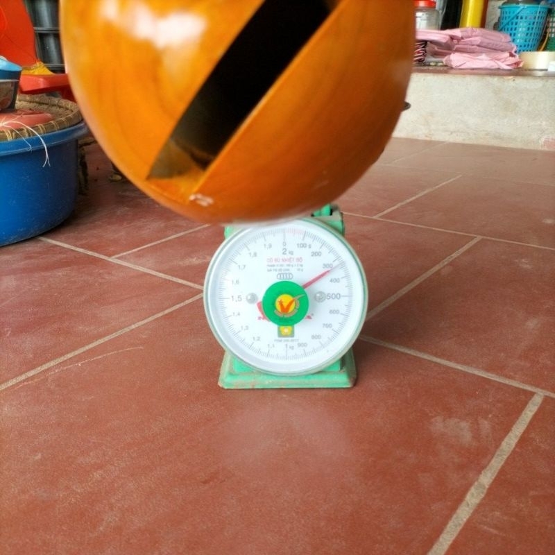Sáo Diều Đơn D80