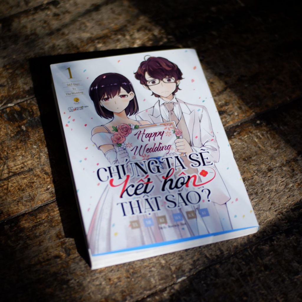 Sách - Chúng Ta Sẽ Kết Hôn Thật Sao?