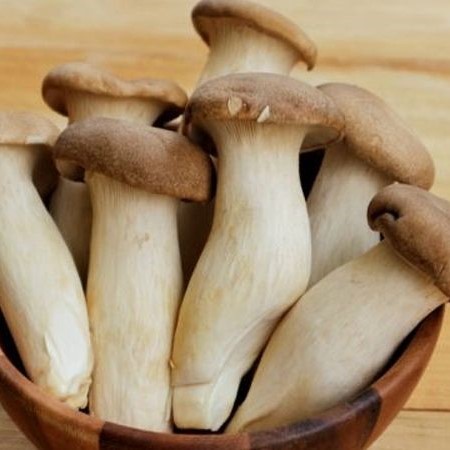 Nấm đùi gà , nấm hải sản tươi, thơm ngon, bổ dưỡng