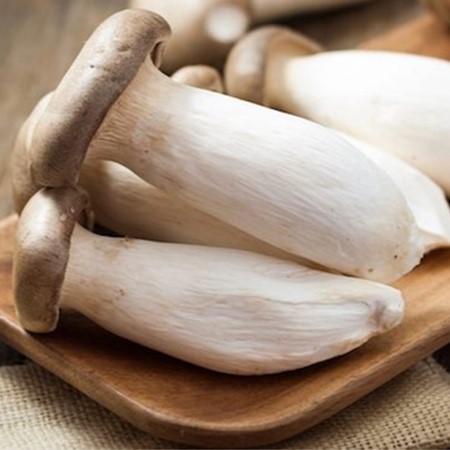 Nấm đùi gà , nấm hải sản tươi, thơm ngon, bổ dưỡng