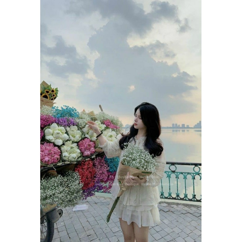 Set trắng phối ren nơ tay dài quần đùi