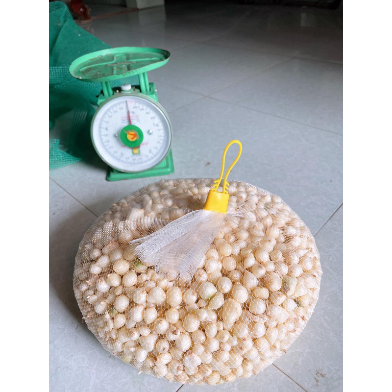 hành tăm ,củ nén  500gr