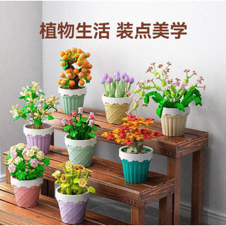 Đồ chơi lắp ghép chậu hoa đá mini nhiều hình mẫu tuyệt đẹp