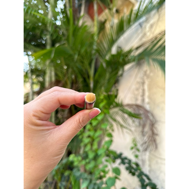 Cọ Son Môi và Che Khuyết Điểm Đầu Tròn Nội Địa Trung