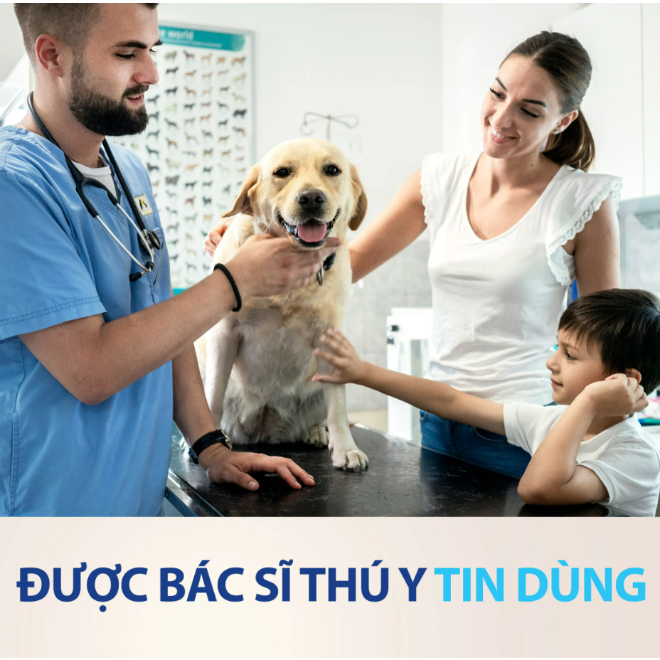 NEXGARD - Viên nhai sạch ve rận ghẻ Chó