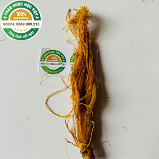 100g Nhân Sâm ( Hồng Sâm) Hàn Quốc Thượng Hạng Loại 1