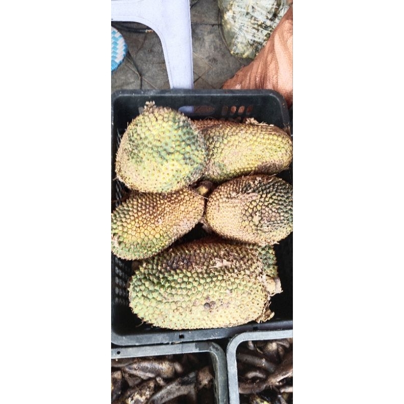 1kg quả dứa dại rừng