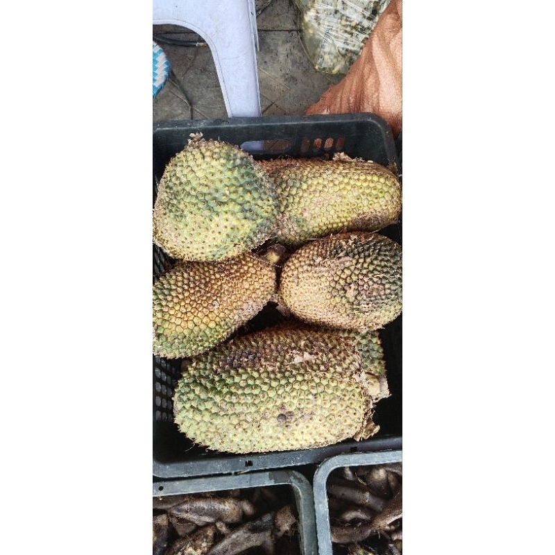1kg quả dứa dại rừng