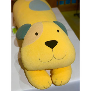 Chó Đít Bự 1m2 Hikosen Cara