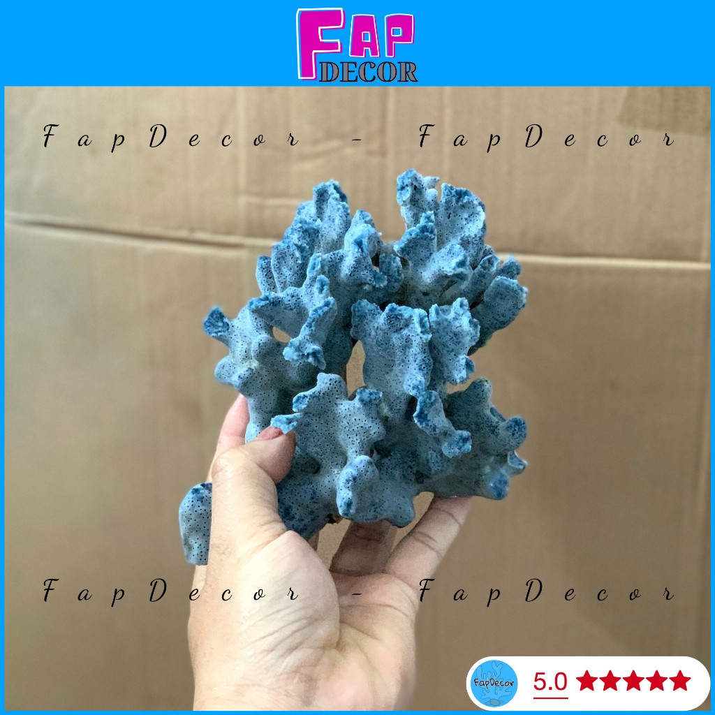 SAN HÔ BÔNG RẠN XANH TỰ NHIÊN PHONG THỦY CAO CẤP HÀNG HIẾM TRANG TRÍ THỦY SINH BỂ CÁ - FAPDECOR