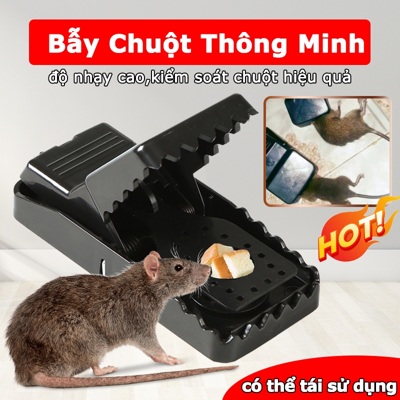 【4 gói】BẪY CHUỘT ĐEN THÔNG MINH,lò xo độ nhạy cao,kiểm soát chuột hiệu quả,có thể tái sử dụng, dễ sử dụng