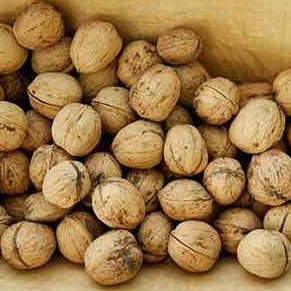 Nhân Óc Chó Úc - Hạt Óc Chó Úc Tách Sẵn Vỏ Mourad's