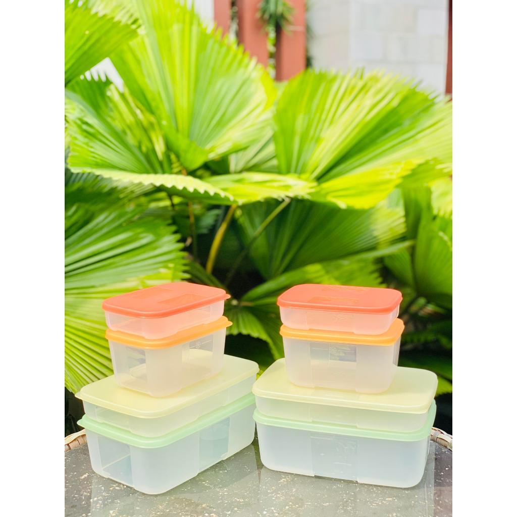 Combo 13 Hộp trữ Đông + Mát Tupperware bảo quản thực phẩm ( Bộ Đông Colorful set 8+ Mát Freshia set 5)