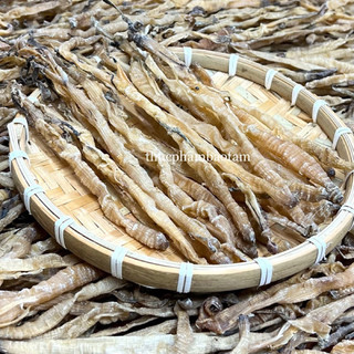 Sá sùng khô quảng nam sạch cát