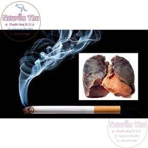 Kẹo ngậm cai thuốc lá hiệu quả cao Nicorette Lozenge 2mg, 4mg vị bạc hà, trái cây thơm mát 80 viên Úc