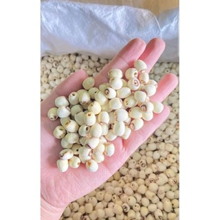 Hạt sen khô 1kg miền tây tháp mười siêu ngon rẻ bổ