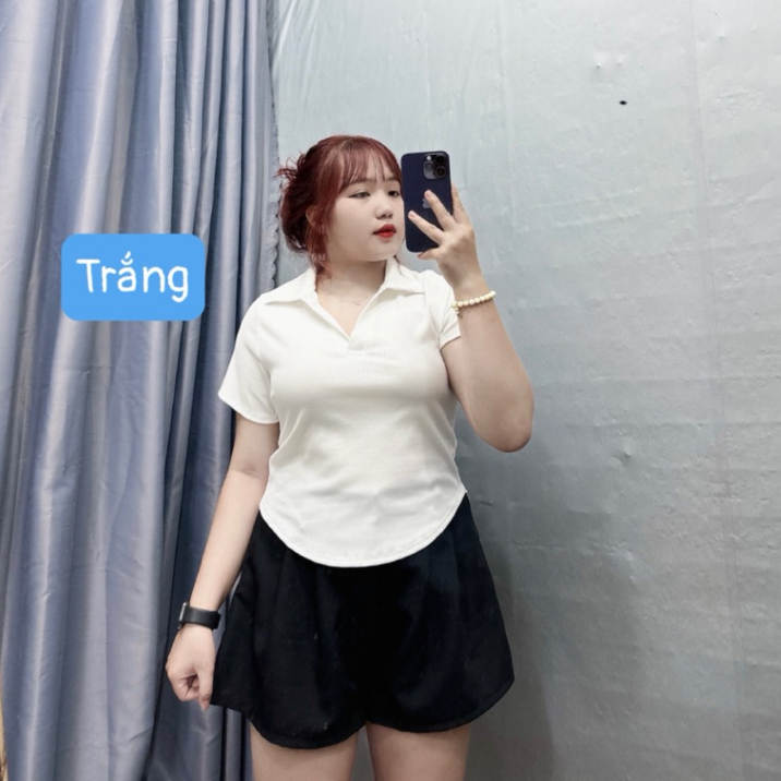 Áo Polo nữ freesize đến bigszie chất thun gân tắm co giản thoáng mát hút mồ hôi tay ngắn vạt bầu - G120