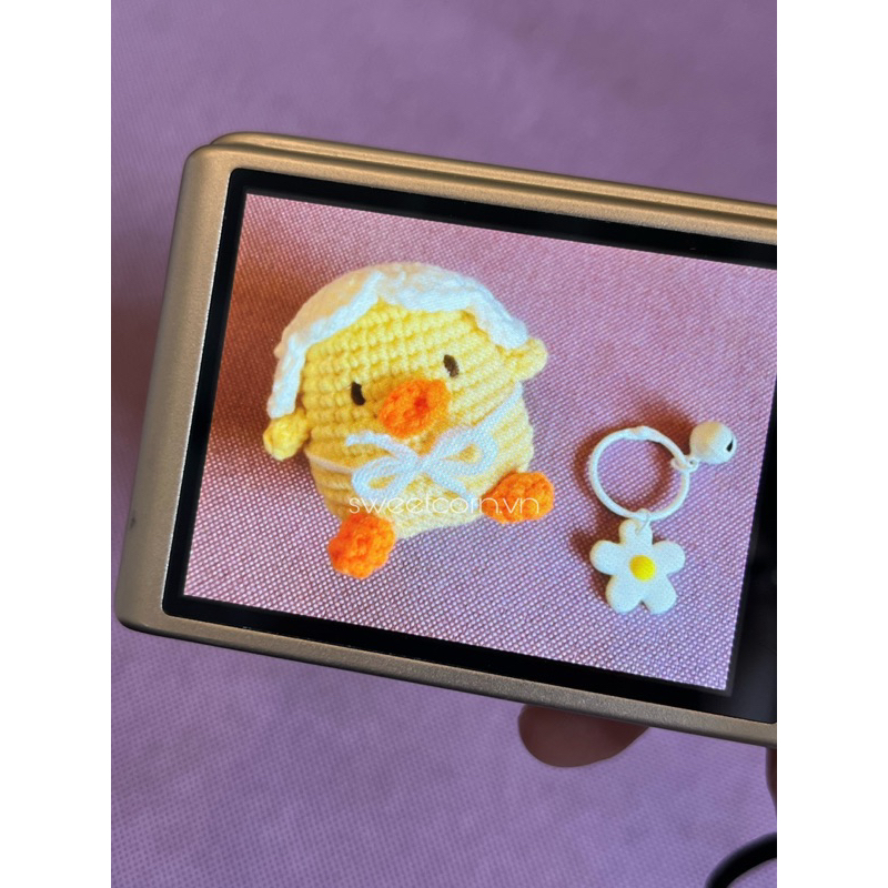 *˚gà con đội mũ móc len ｡⋆.