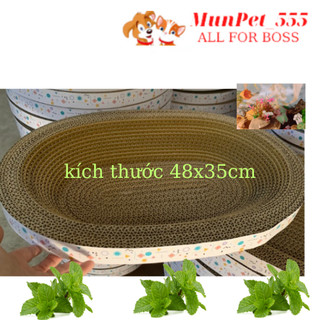 Bàn cào móng cho mèo giúp mèo thư giãn